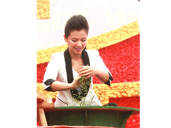 著名演員劉濤炒茶現(xiàn)場(chǎng)