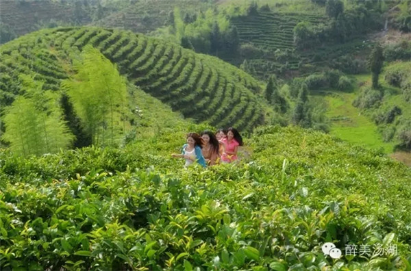 1551409236990529.jpg 640.webp.jpg