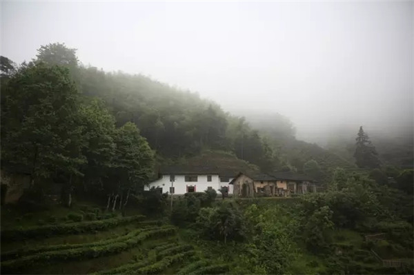 1551409296221676.jpg 640.webp (4).jpg