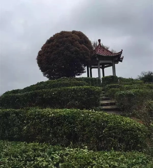 1551409340364399.jpg 640.webp (5).jpg