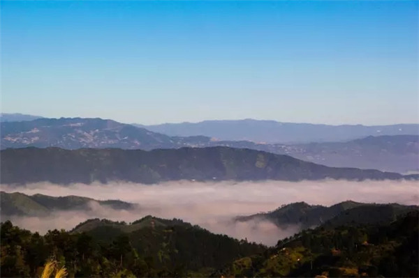 1551409600325707.jpg 640.webp (15).jpg