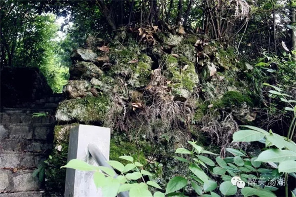 1551409646688304.jpg 640.webp (18).jpg