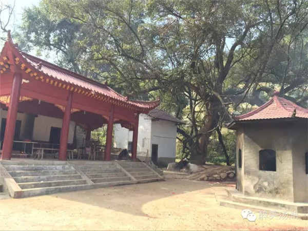 1551409653902123.jpg 640.webp (19).jpg